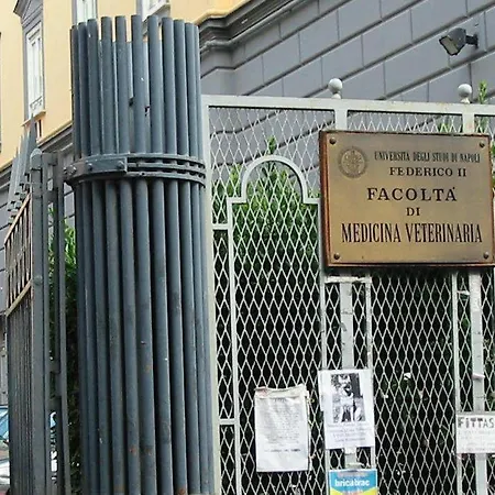 Le 3 Sorelle House * Neapol